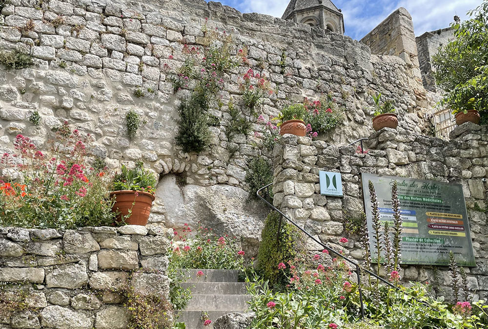 Reportage vidéo : le Jardin des Herbes en Drôme